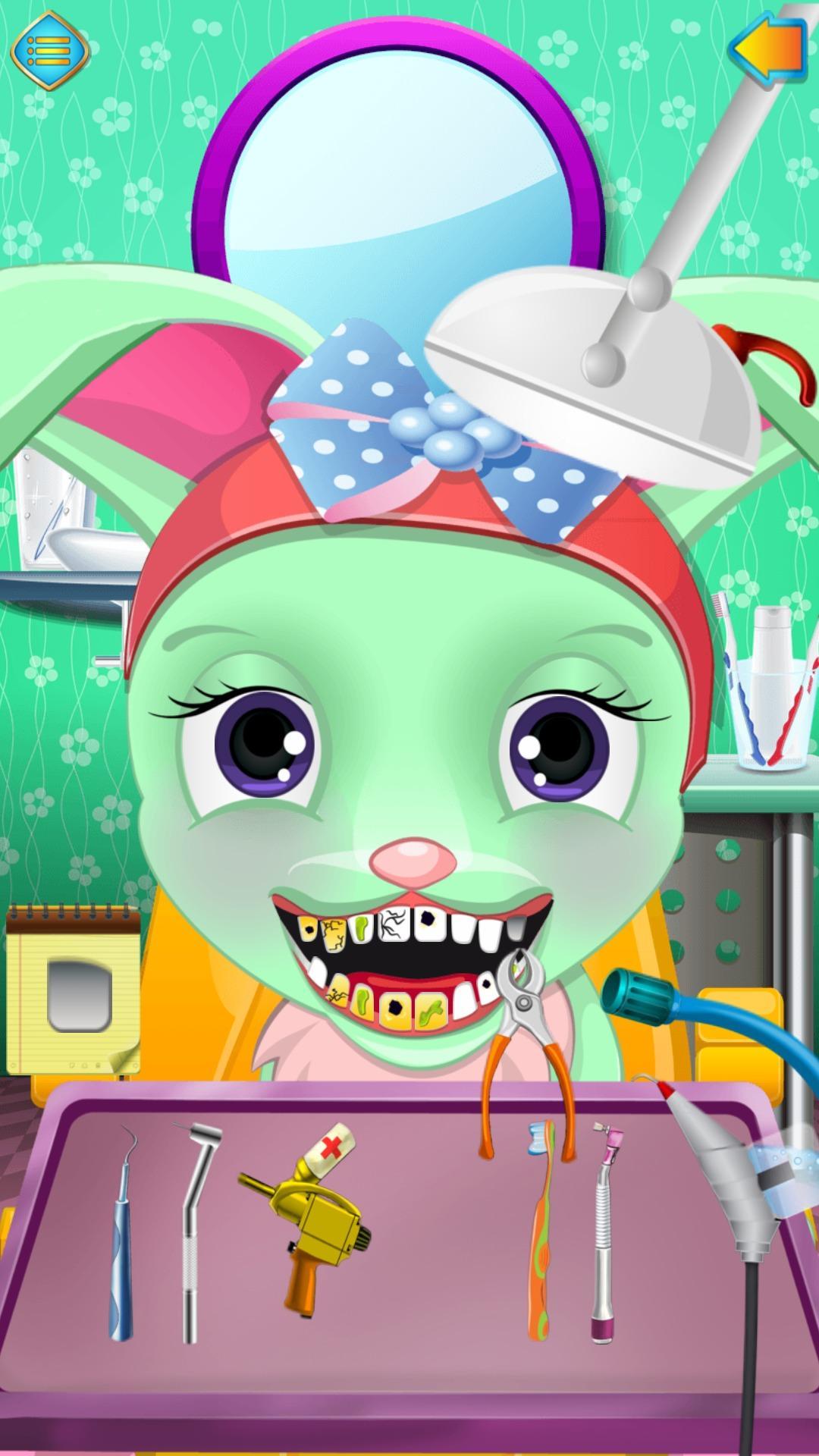 Animal Dental Clinic