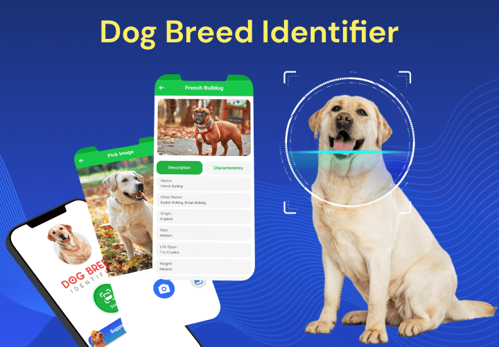 Dog Breed Identifier by Photo