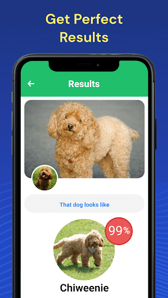 Dog Breed Identifier by Photo