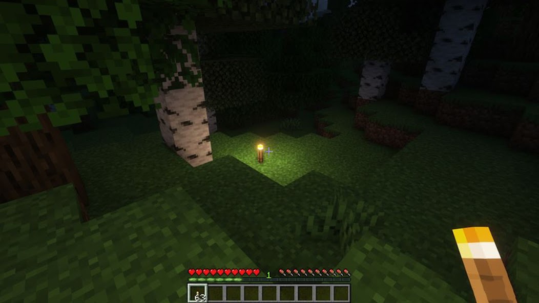 Raiyons Lights Mod Minecraft