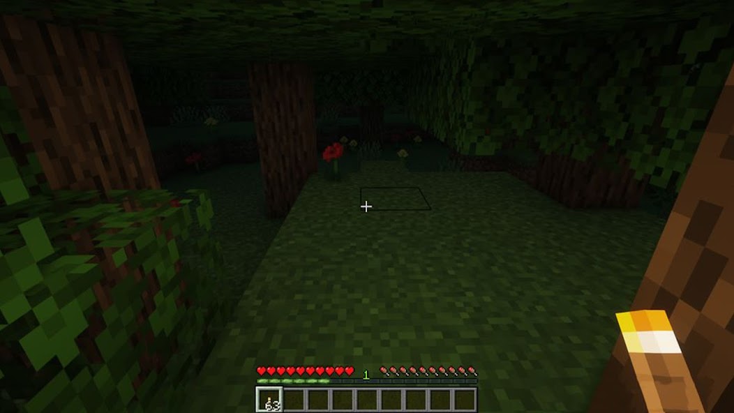 Raiyons Lights Mod Minecraft