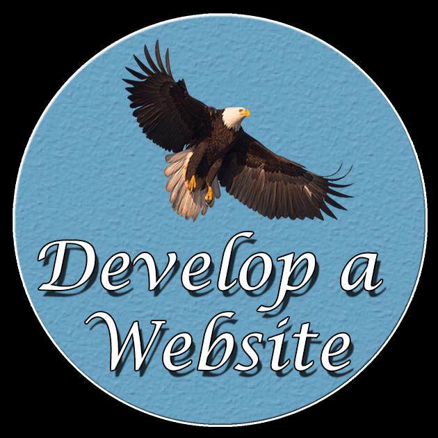 Website Developer
