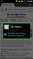 Dolphin Tab History