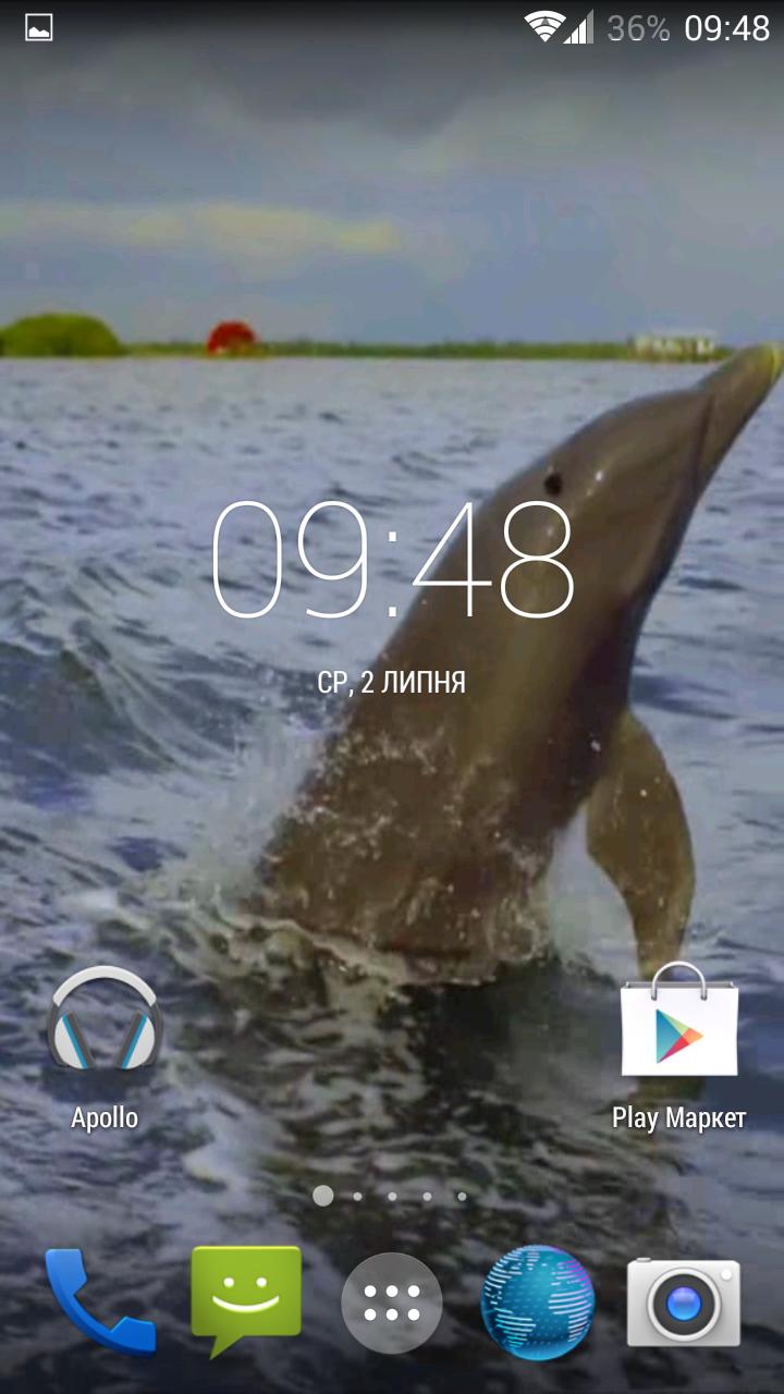 Dolphin 3d. Video Wallpaper