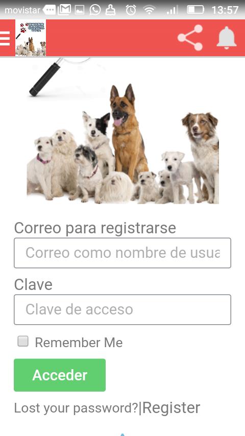 Como buscar una mascota