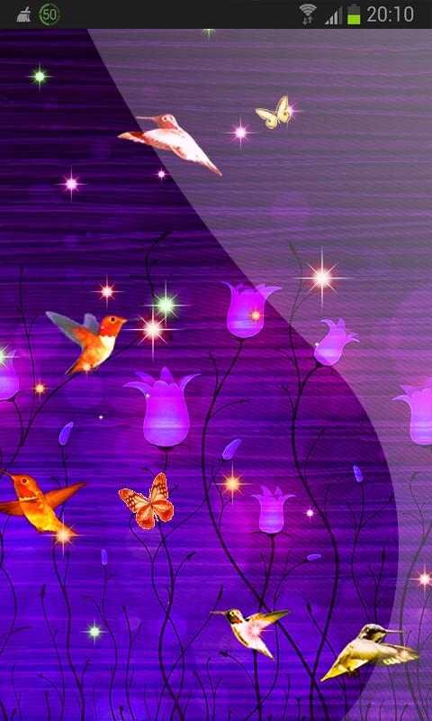 Illinois Summer Tropical Bird