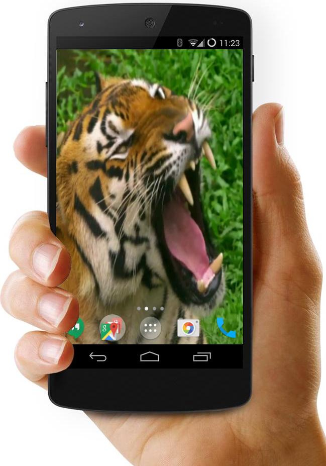 4K Video Live Wallpaper