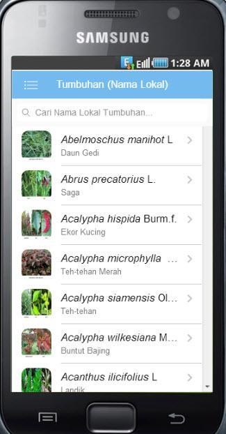 Kamus Taksonomi Tumbuhan