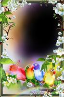 All Seasons Photo Frames