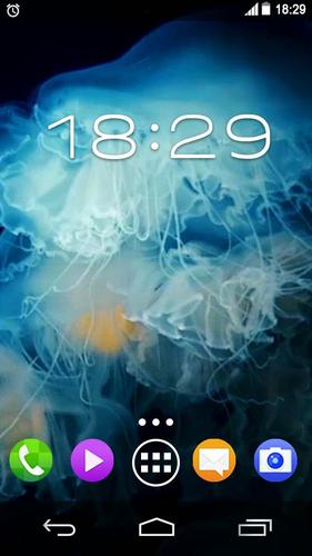 Sea Jellyfish Underwater LWP