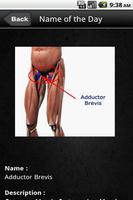 All in One Dictionary