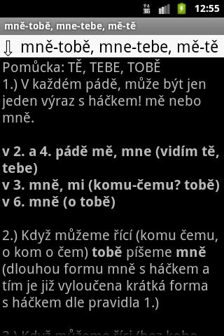 Czech Grammar Basic Rules