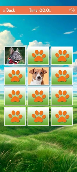 Cute Dogs Cards Matching Game