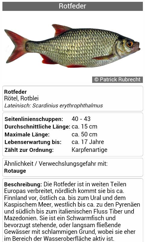 Fischbestimmung FishFinder 3.0