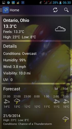 The Weather Forecast