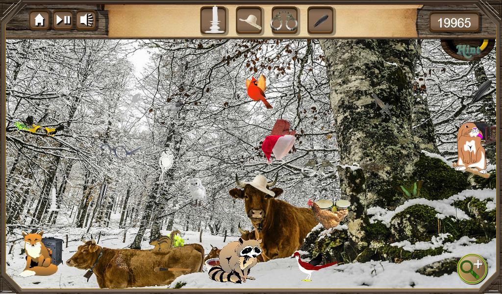 Hidden Object Winter Forest