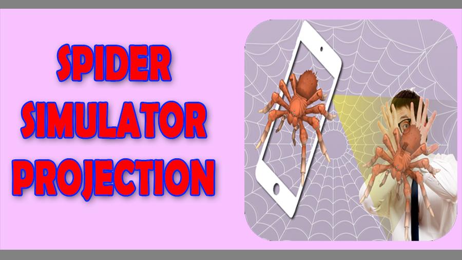 Spider Projection Simulator
