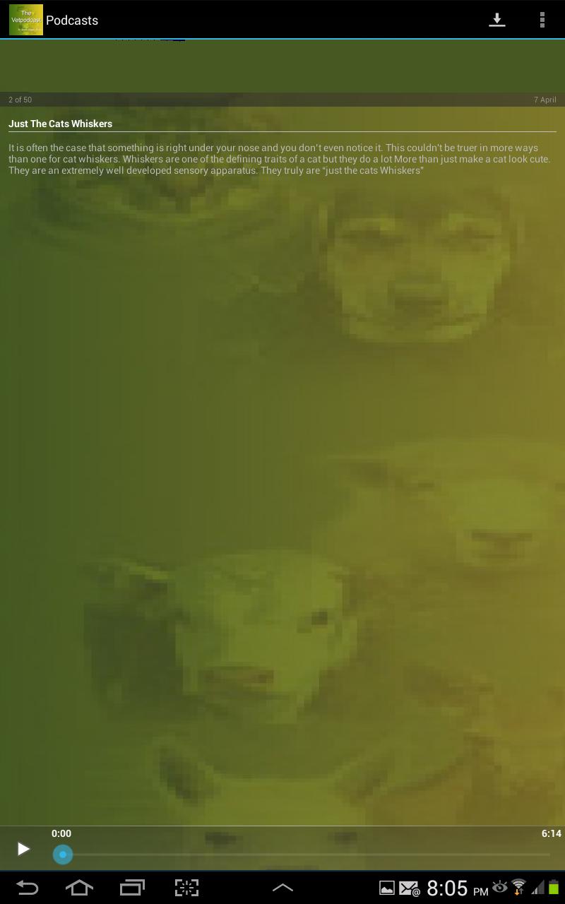 The Veterinary Podcast