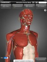 ArchieMD 3D Health: PREVIEW