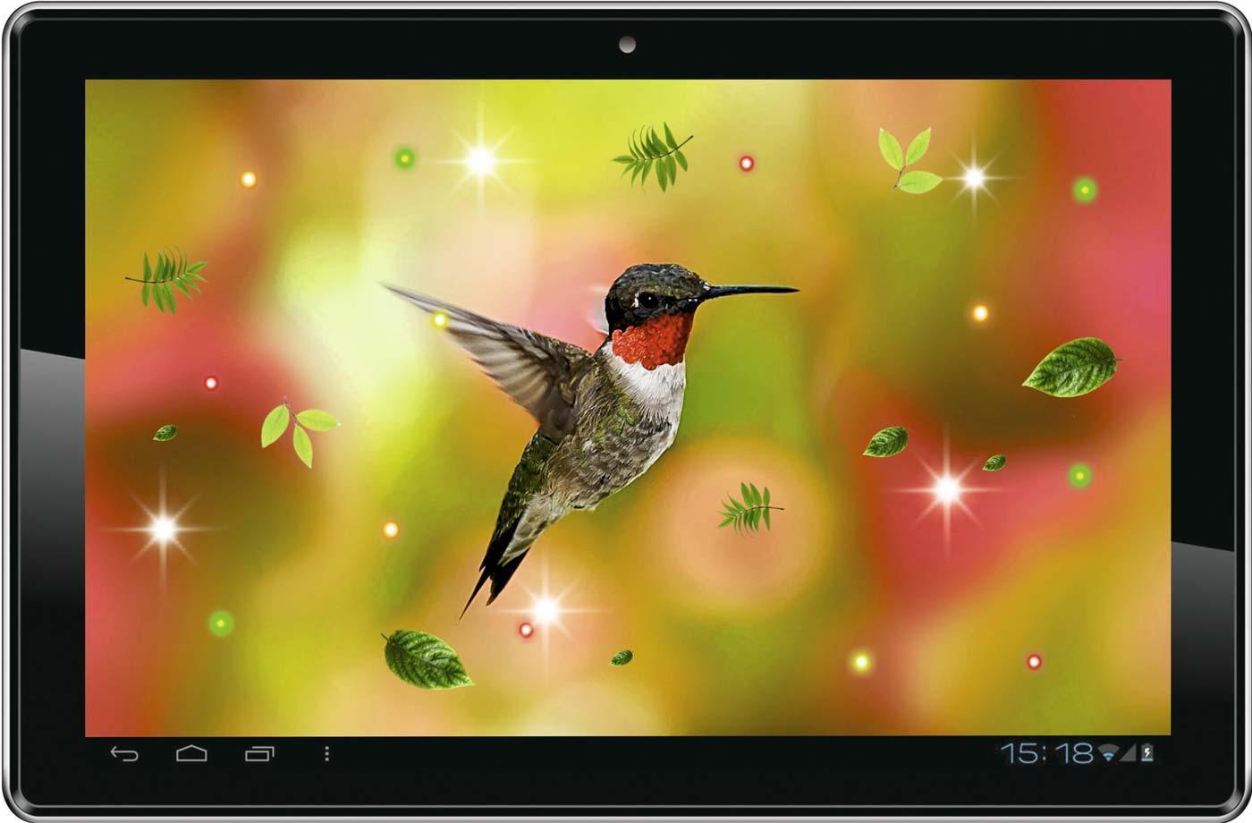 Colibri Spring 3D LWP