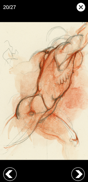 3D Anatomy for the Artist