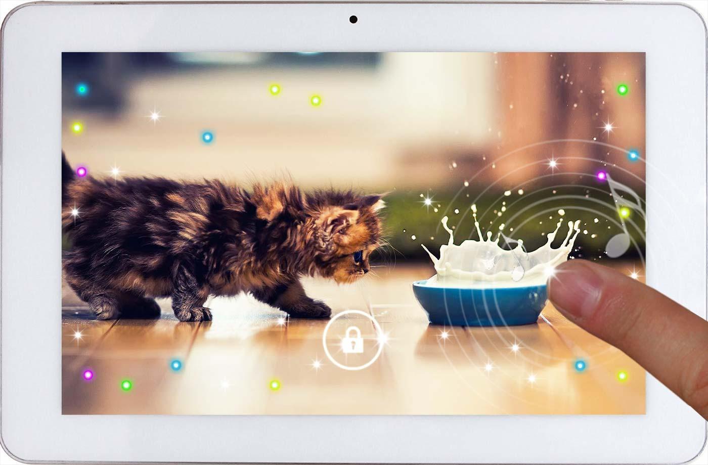 Funny Kittiens live wallpaper