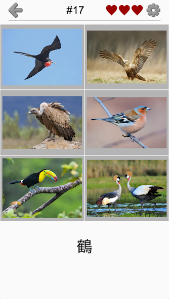 Bird World - Famous Birds Quiz