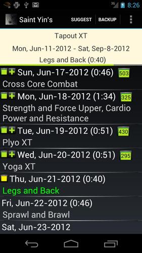 St. Yin's DVD Workout Tracker