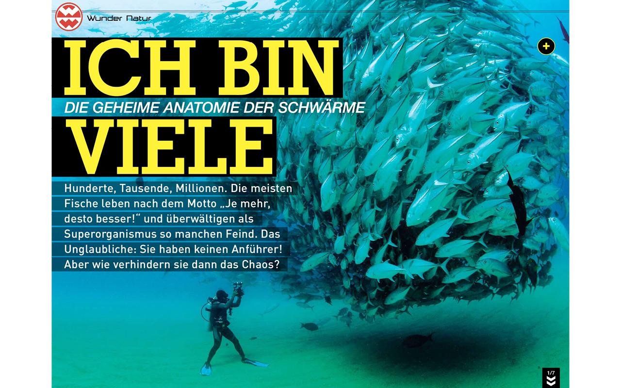 Welt der Wunder ePaper