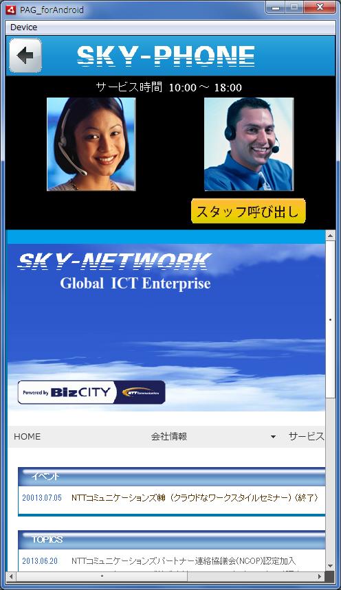 SKY-PHONE