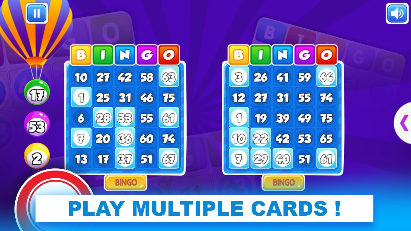 Bingo Casino