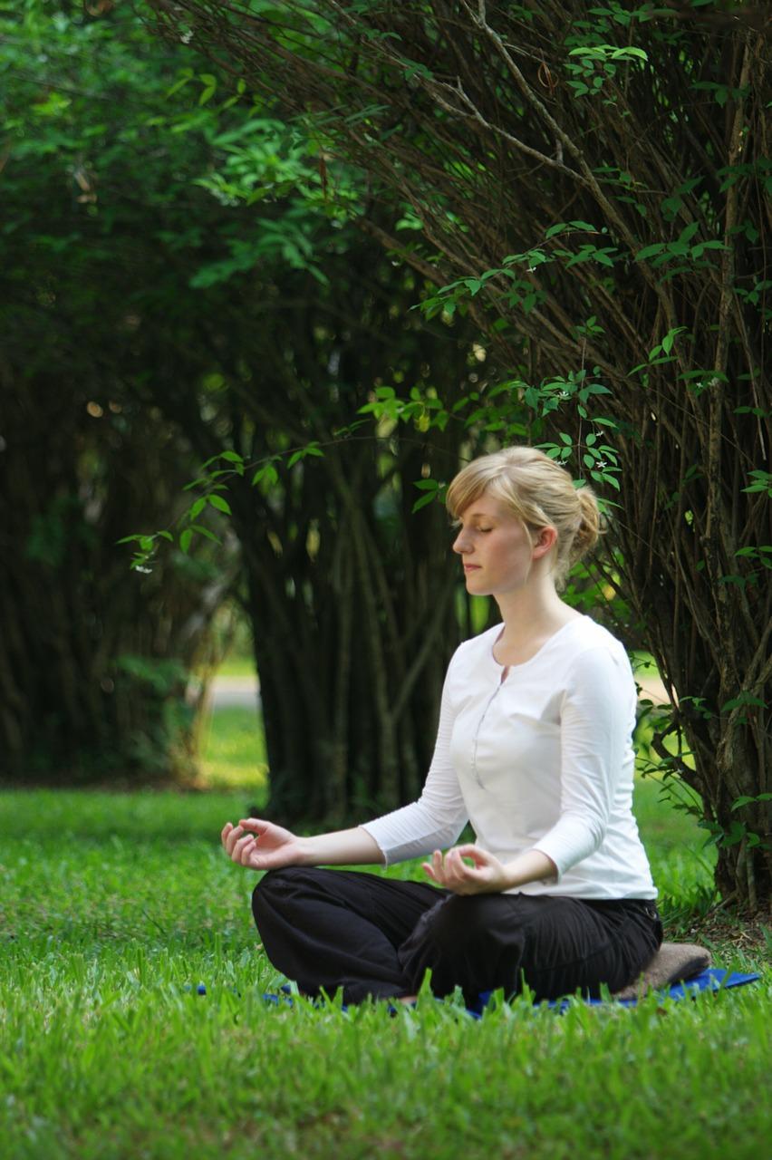 Learn to meditate
