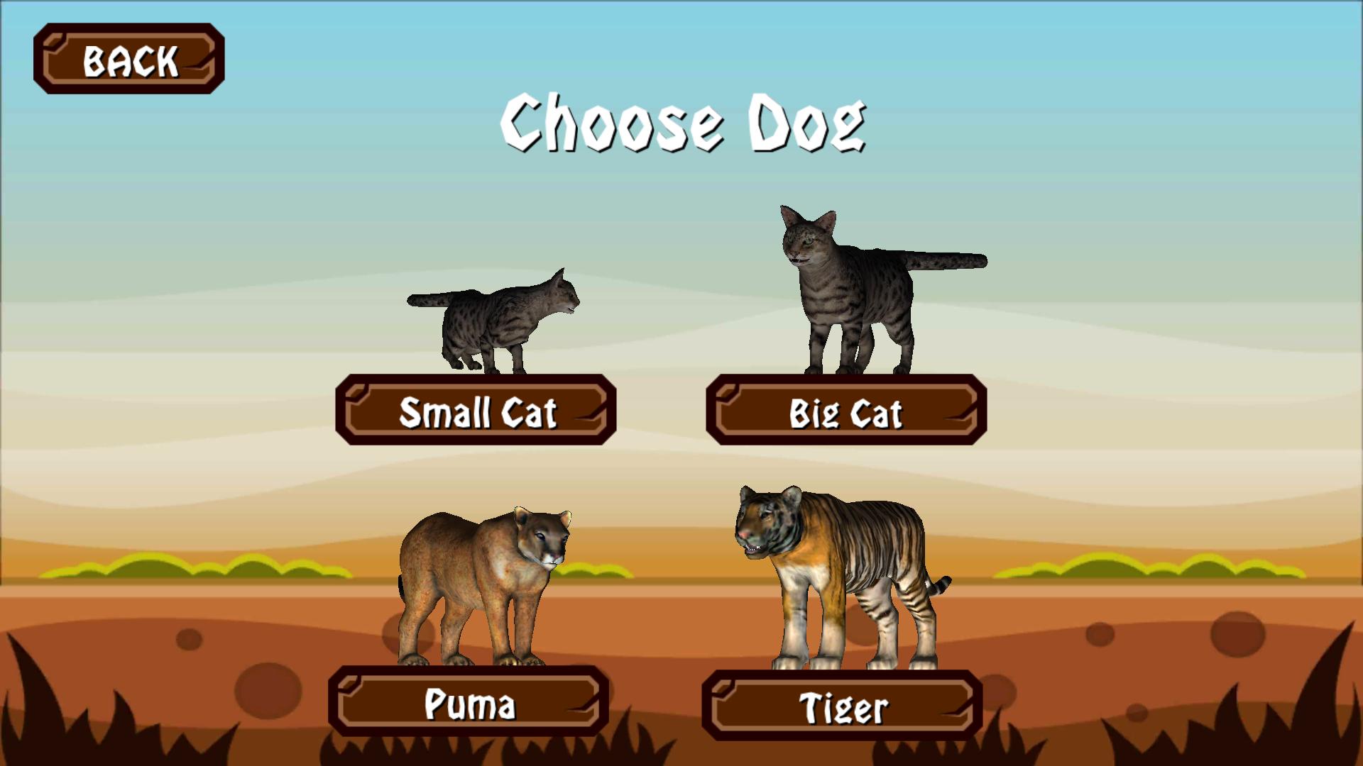 Catty Cat Universe
