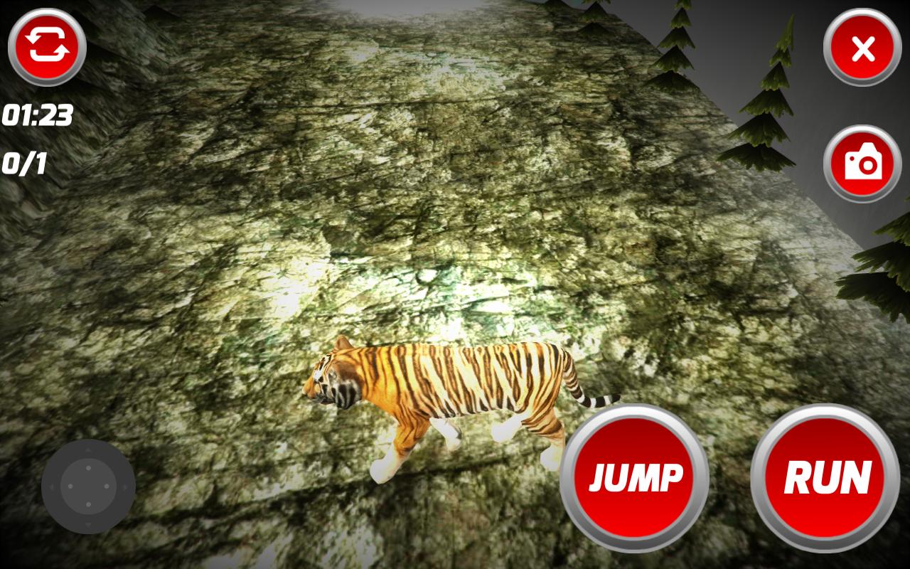 Tiger Wildlife