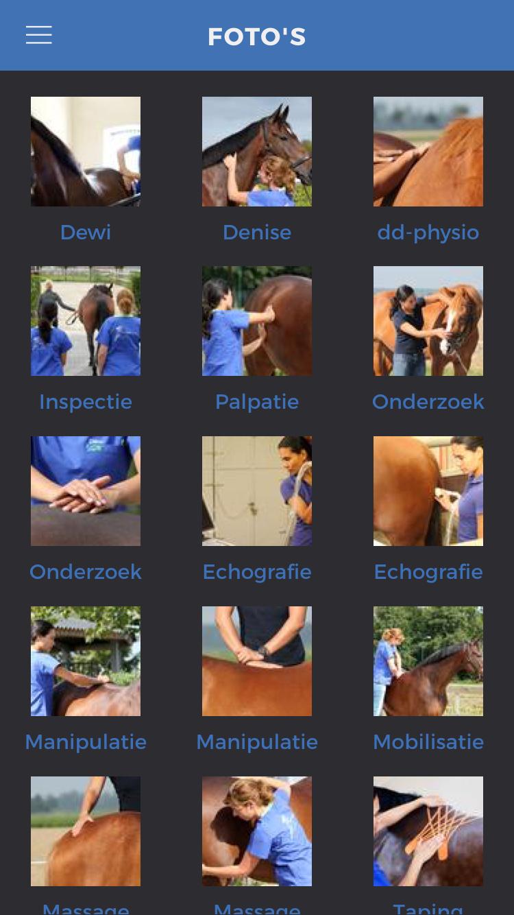 dd-physio