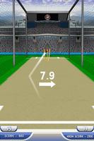 Hit The Wicket