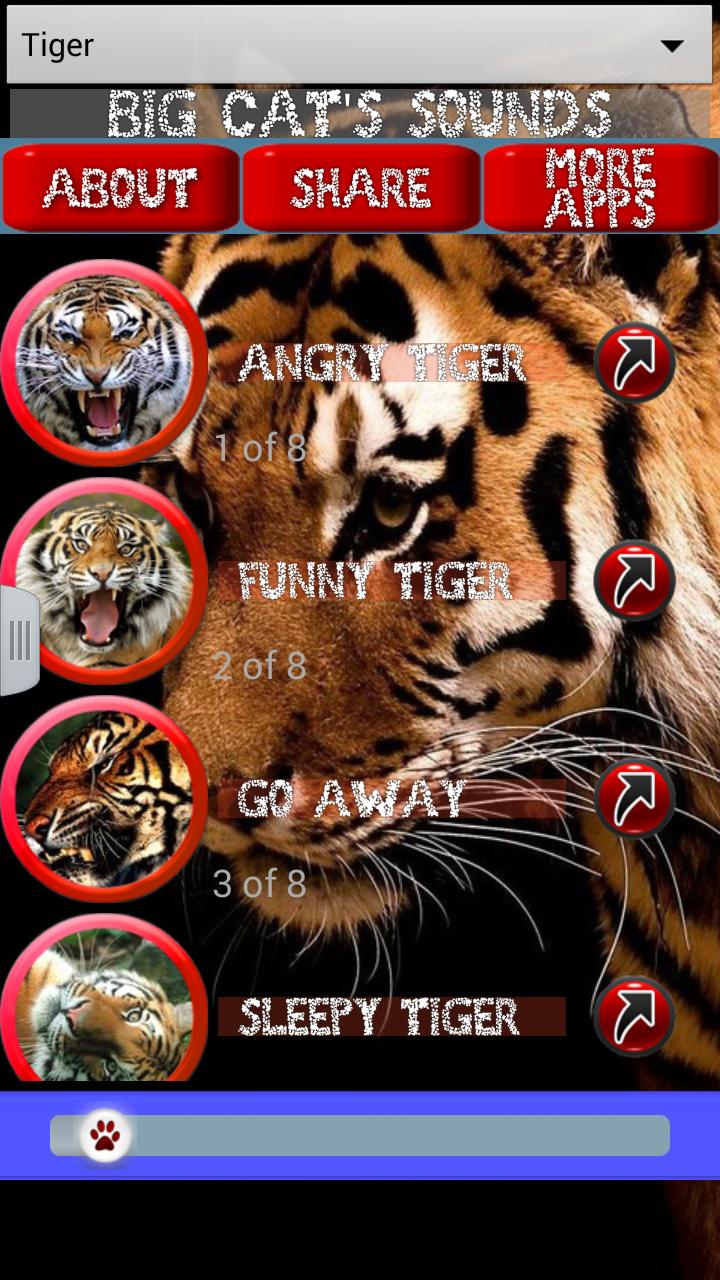 Big cats sounds