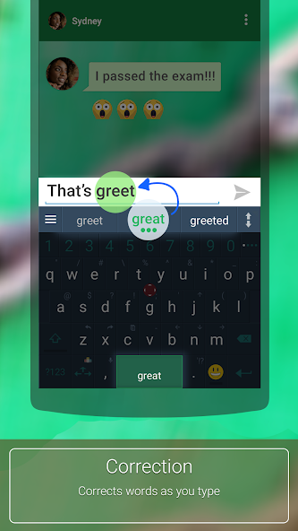 ai.type Korean Dictionary