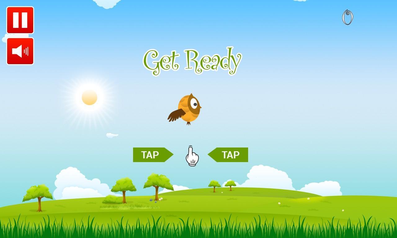 Crazy Owl