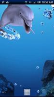 Dolphin Ring Trial