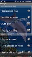 Dolphin Ring Trial