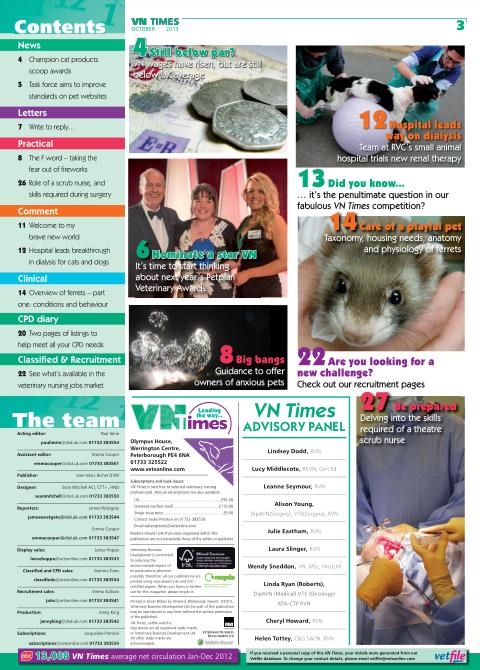 VN Times