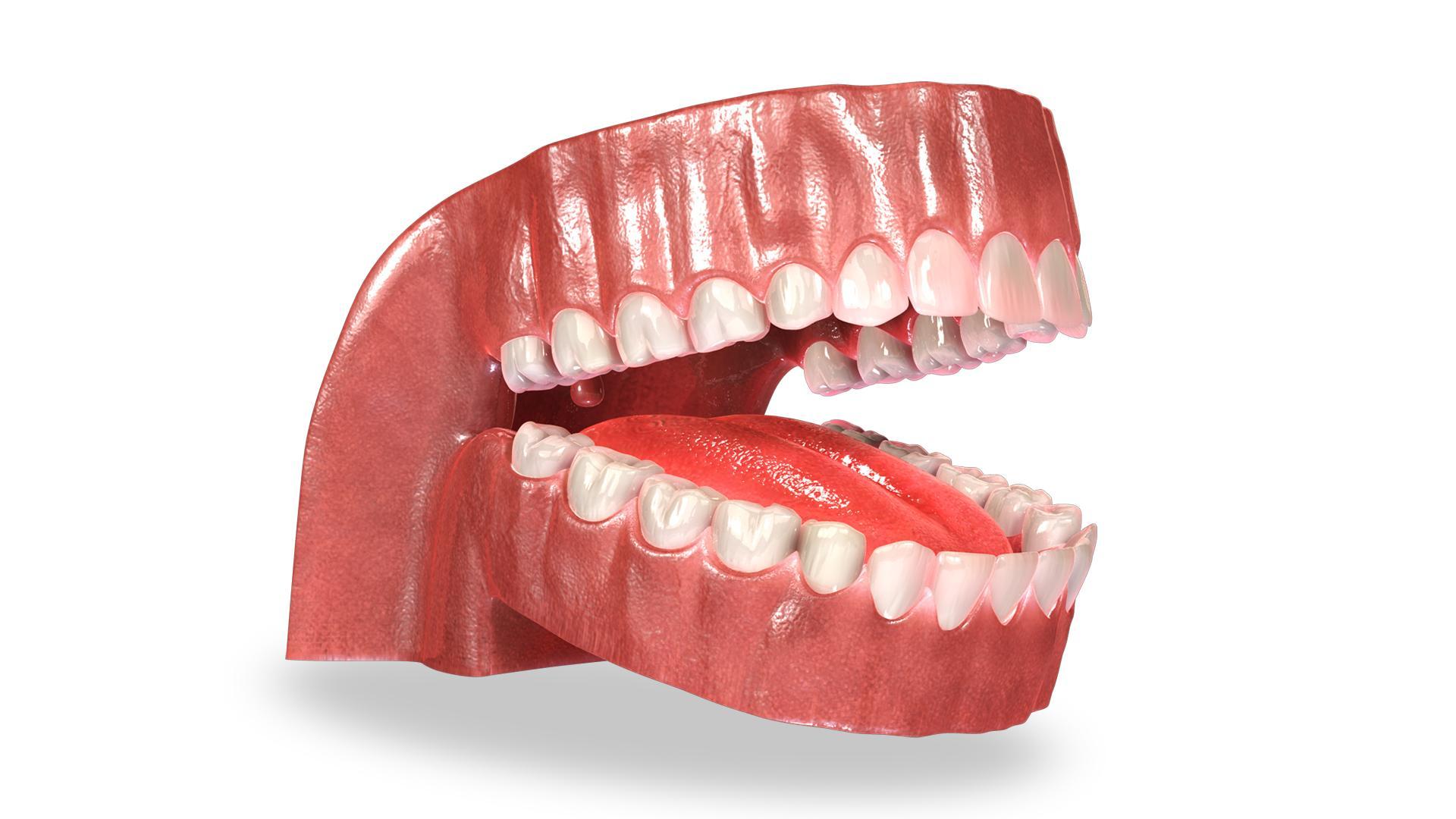 VR Dentist - A Dental App