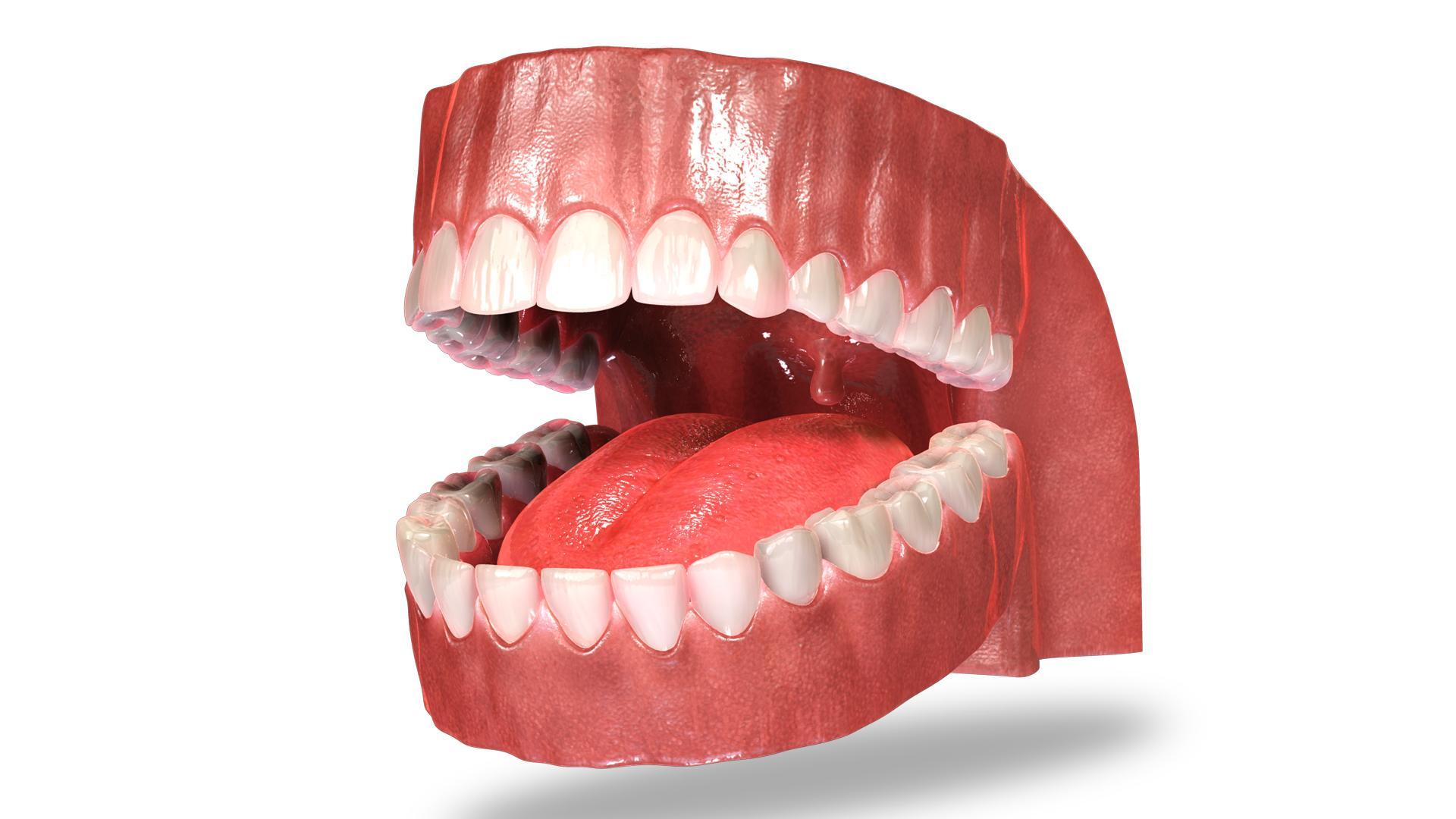 VR Dentist - A Dental App