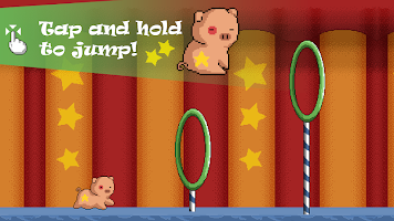 Circus Pig