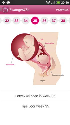 Zwanger en Zo