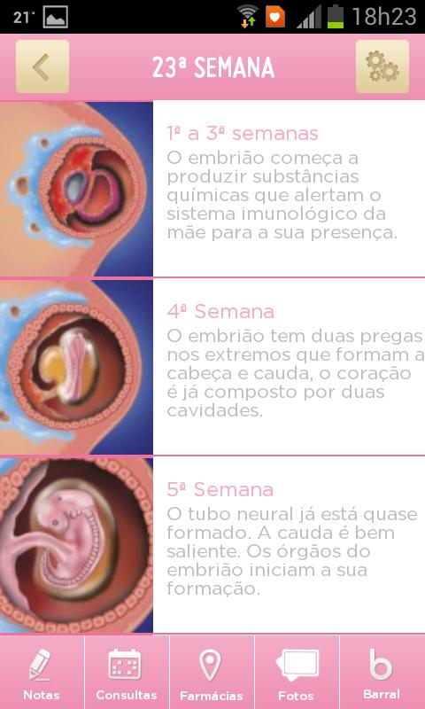 A Minha Barriga
