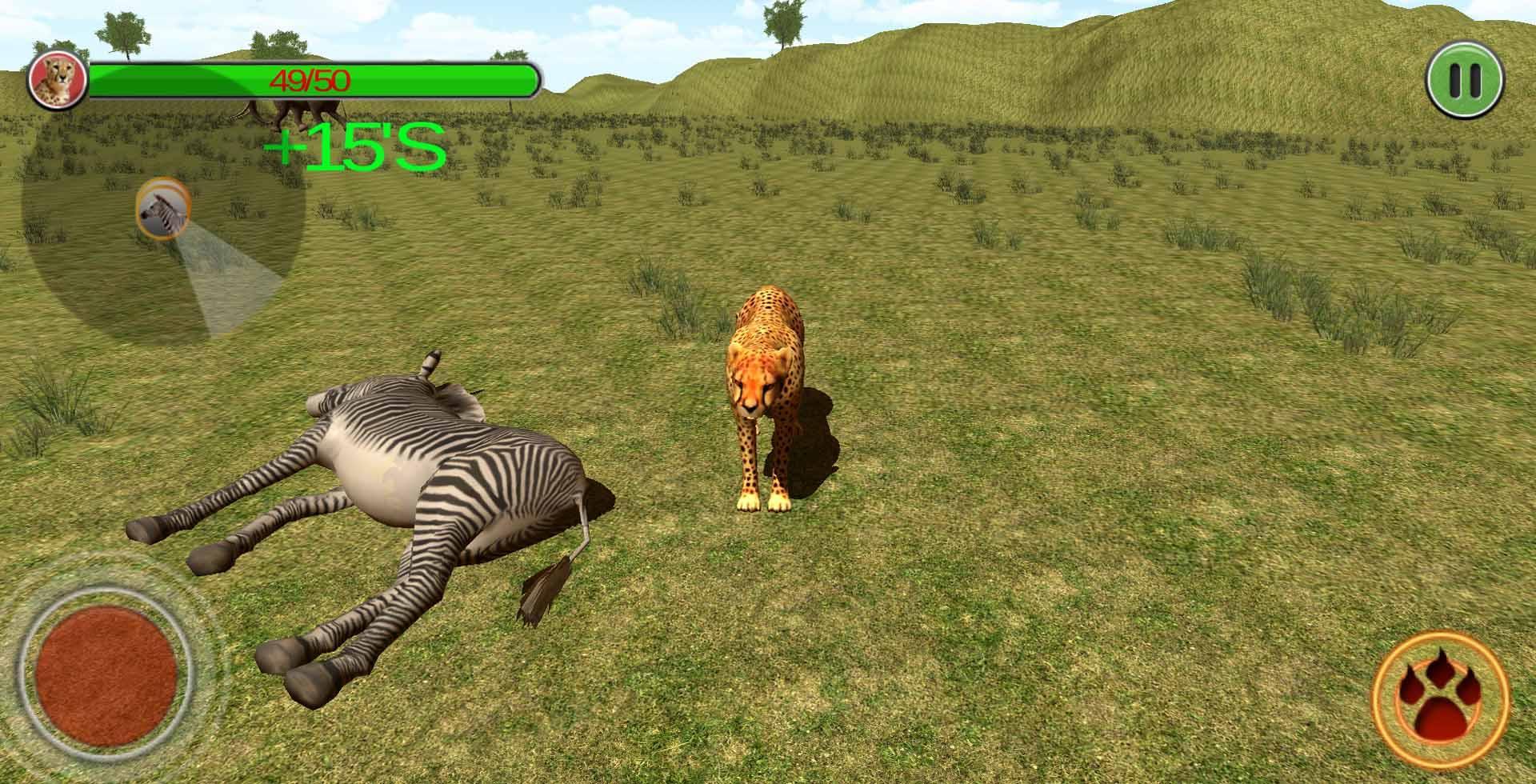 wild cheetah