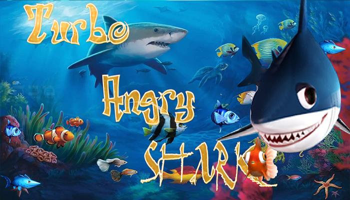 Turbo Angry Shark Fish