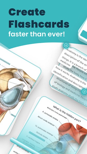 AI Study Flashcards: Voovo